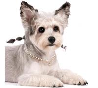 Lovelyshop Double Layer Pearl Cat Necklace with Pendant, Adjustable Lightweight Pet Jewelry Collar for Dog, Gold, Small