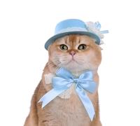 Lovelyshop Pet Bonnet Hat and Bowtie Set for Cats, Light Blue, Lace Vintage Spring Summer Style, Adjustable Tie
