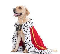 Lovelyshop pet serial Lux Fur Cat Dog Cloak for Halloween costumes, King Queen prince and princess cosplay-XL