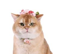 Lovelyshop Spring Pet Floral Crown and Floral Collar Set, Adjustable Flower Headband for Cats and Small Dogs, Pink and Red Fabric Flowers with Green Ribbon Ties, Garden Picnic Style