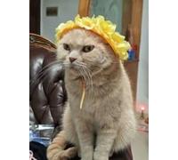 Lovelyshop Yellow Floral Pet Crown for Cats and Rabbit, Adjustable Flower Headpiece with Ribbon Tie, Silk Flowers, 3D Surround Design