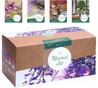Loveplants Bonsai Starter Kit - 1 Set
