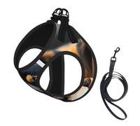 Lover Dog Paw Printing Dog Summer Harness With Leash Set,Adjustable And Reflective Step-In Puppy Pet Vest Harnesses