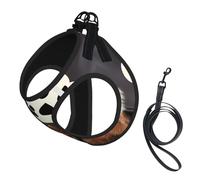 Lover Dog Paws Printing Dog Summer Harness With Leash Set,Adjustable And Reflective Step-In Puppy Pet Vest Harnesses