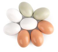 LovesTown 8PCS Wooden Fake Eggs, 3 Colors Toy Egg Wooden Egg Faux Eggs for Crafts Fake Chicken Eggs Nesting Eggs