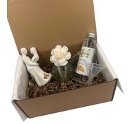 Loving Embrace Figurine With Green Reed Diffuser Vase & Fragrance Gift Box