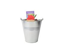 Loving Memory Rose 5.5L - Crimson-Scarlet Blooms Fragrant Garden Rose - Metal Zinc Pail