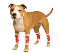 LovinPet 4-Pack Dog Knee Sleeves, Dinosaur-Style Leg Warmers for Medium & Large Dogs, 4-Way Stretch, Anti-Lick Coverage, Warm & Comfy Fit, One Size,Red White