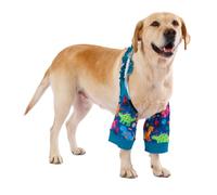 LovinPet Dinosaur Print Front Leg Sleeves for Medium and Large Dogs, Green,3XL