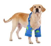 LovinPet Dinosaur Print Front Leg Sleeves for Medium and Large Dogs, Green Blue,XXL