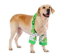 LovinPet Dinosaur Print Front Leg Sleeves for Medium and Large Dogs, Green White,L