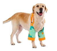 LovinPet Dinosaur Print Front Leg Sleeves for Medium and Large Dogs, Orange Green,3XL