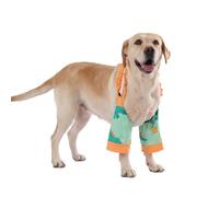 LovinPet Dinosaur Print Front Leg Sleeves for Medium and Large Dogs, Orange Green,L