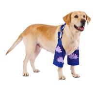 LovinPet Dinosaur Print Front Leg Sleeves for Medium and Large Dogs, Pink Purple,L