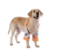 LovinPet Dinosaur Print Front Leg Sleeves for Medium and Large Dogs, White,XL