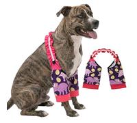 LovinPet Dinosaur Print Front Leg Sleeves for Medium and Large Dogs, Yellow Purple,L