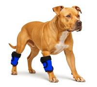 LovinPet Dog Leg Braces, 2 Pack Adjustable Ankle/Hock Wraps for Front & Back Legs, Back Leg Support Brace, Recovery & Mobility Aid, Joint Stability Support, Fits Medium & Large Dogs, Blue