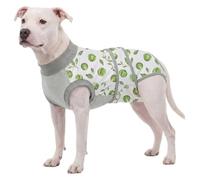 LovinPet Dog Recovery Suit, Soft Post-Surgery Bodysuit with Cotton Belly Panel, Four-Season Wear for Large Breeds, Vegetable Print, Green White, XXL