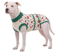 LovinPet Dog Recovery Suit, Soft Post-Surgery Bodysuit with Cotton Belly Panel, Four-Season Wear for Large Breeds, Vegetable Print, Green Red, XXL