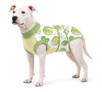 LovinPet Dog Recovery Suit, Soft Post-Surgery Bodysuit with Cotton Belly Panel, Four-Season Wear for Large Breeds, Vegetable Print, Green, XXL