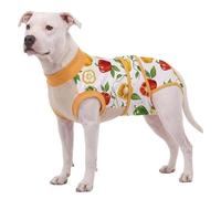 LovinPet Dog Recovery Suit, Soft Post-Surgery Bodysuit with Cotton Belly Panel, Four-Season Wear for Large Breeds, Vegetable Print, Orange Red, XXL