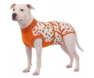 LovinPet Dog Recovery Suit, Soft Post-Surgery Bodysuit with Cotton Belly Panel, Four-Season Wear for Large Breeds, Vegetable Print, Orange, XXL