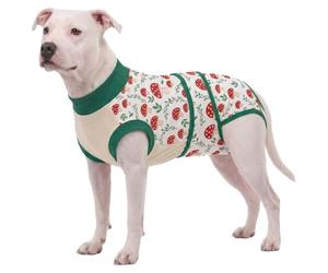 LovinPet Dog Recovery Suit, Soft Post-Surgery Bodysuit with Cotton Belly Panel, Four-Season Wear for Large Breeds, Vegetable Print, Green Red, L