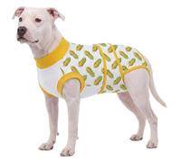 LovinPet Dog Recovery Suit, Soft Post-Surgery Bodysuit with Cotton Belly Panel, Four-Season Wear for Medium Breeds, Vegetable Print, Yellow, M