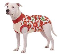 LovinPet Dog Recovery Suit, Soft Post-Surgery Bodysuit with Cotton Belly Panel, Four-Season Wear for Medium Breeds, Vegetable Print, Red, M