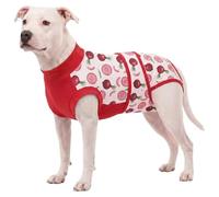 LovinPet Dog Recovery Suit, Soft Post-Surgery Bodysuit with Cotton Belly Panel, Four-Season Wear for Medium Breeds, Vegetable Print, Red Pink, M