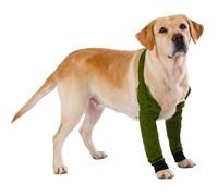 LovinPet Waterproof Front Leg Sleeves,Green,XXL