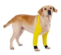 LovinPet Waterproof Front Leg Sleeves,Yellow,XXL