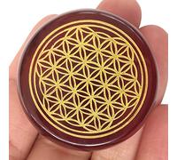 Lovionus89 Natural Red Agate Flower of Life Engraved Healing Crystal Chakra Balancing and Positive Energy Generator Palm Pocket Stone