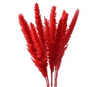 LOVIVER 15 Pieces Artificial Dried,Bunch Flower Arrangement for Vase, Phragmites Flower, for Home Party Plants Holiday Decoration, Red