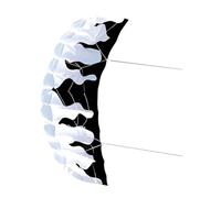 LOVIVER 2M Parafoil Kite Two Line Parachute Kite Seaside Beach Toy for Boys Girls Outdoor Games and Activities, Black White