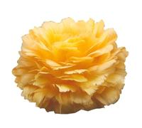 LOVIVER Artificial Feather Light Shade, Lightshade Ceiling Light Shade, Artificial Feather Lampshade for E27 Bulb, Yellow