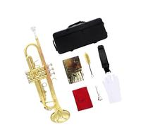 LOVIVER B Flat Standard Trumpet Set Classic Cloth with Hard Case Western Instruments Professional for Stage Performance Kids Children