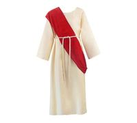 LOVIVER Christian Biblical Robe Halloween Adult Ancient Greek Robe for Performance Party, L