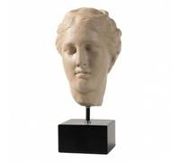 LOVIVER Classical Bust with Resin Base Portrait Sculpture Decorative Head Sculpture for Home Stylists, Art Collectors, Living Room, Shelf, Office