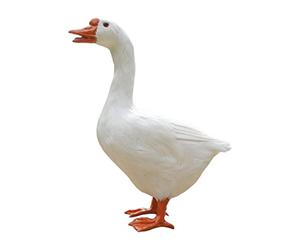 LOVIVER Unique Feathered Goose Statue Artificial Animals Standing Sculpture Handcrafted for Desktop Pond Outdoor Indoor Decor Ornaments, White