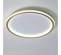 LOVTAL Round LED Ceiling Light, Nordic Modern Ultra-Thin Circle Ceiling Lamp Surface Mount Metal Light Fixture for Living Room, Bedroom Lamp,Gold+Cool White-30cm 36W