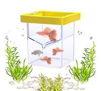 LOW BREATER FISH - Maximize Accreditation 'Aquarium | Incubator' Incluvio without Sinking or Flipping | Fish Tank Incubator for Scientific Research or All