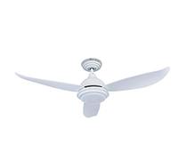 Pepeo GmbH DC ceiling fan Raja 122cm / 48" with LED and remote White 122