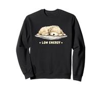 Low Energy Cavapoo Dog - Lazy Sleeping Cavapoo Sweatshirt