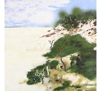 Low Flung - Outside the Circle [VINYL]