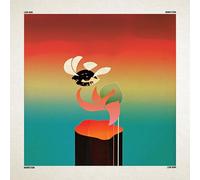 Low Hum - Nonfiction [Vinyl LP] [VINYL]