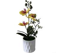 Low-Intervention Orchid Simulation for Environments Requiring Stable Visual Elements Over Extended Timeframes (B)