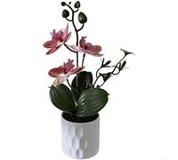 Low-Intervention Orchid Simulation for Environments Requiring Stable Visual Elements Over Extended Timeframes (D)