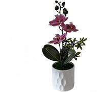 Low-Intervention Orchid Simulation for Environments Requiring Stable Visual Elements Over Extended Timeframes (E)