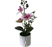 Low-Intervention Orchid Simulation for Environments Requiring Stable Visual Elements Over Extended Timeframes (F)